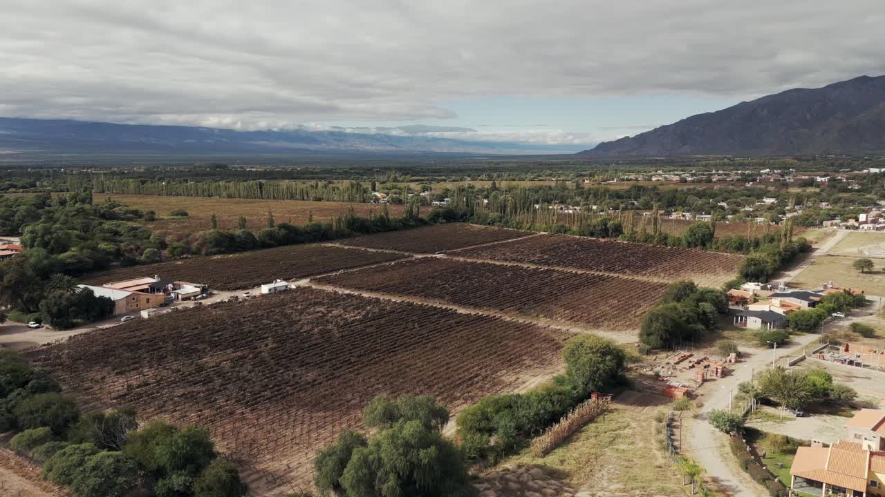 Viñedo orgánico auténtico local en Sudamérica Argentina, dron aéreo