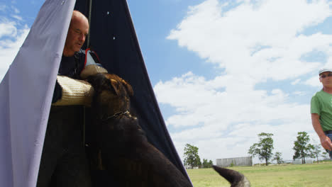 trainer training a shepherd dog in the field 4k