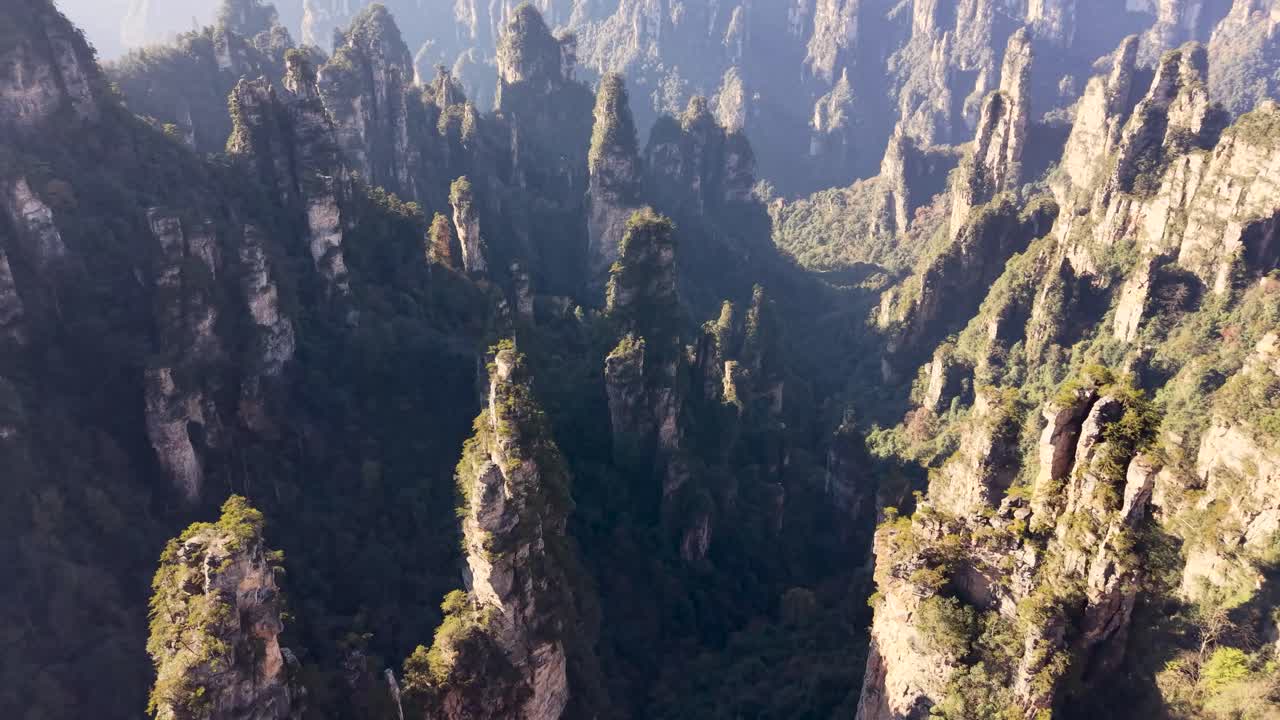Aerial flying over deep canyon filled with tall green-covered rock pillars, Zhangjiajie National Forest Park