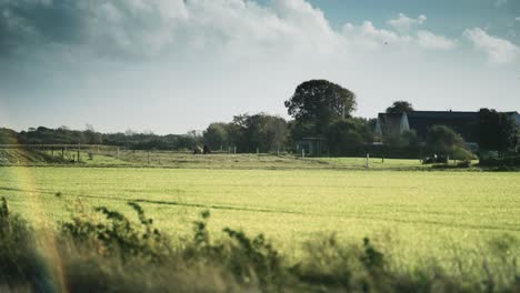 Rural-Danish-landscape