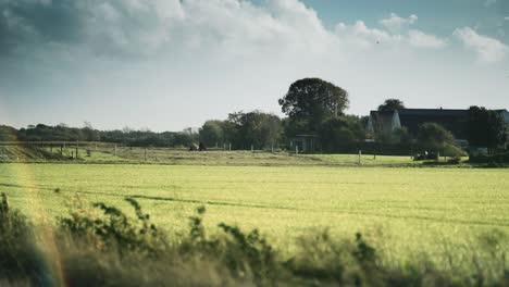 rural danish landscape