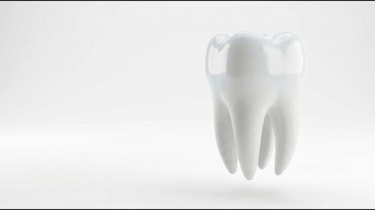 Single White Human Tooth Rotating on a Clean White Background