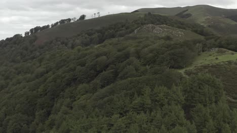 aerial drone over roncesvalles or ronceval or roncevaux pass, pyrenees, spain