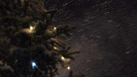 snowstorm and christmas tree at night