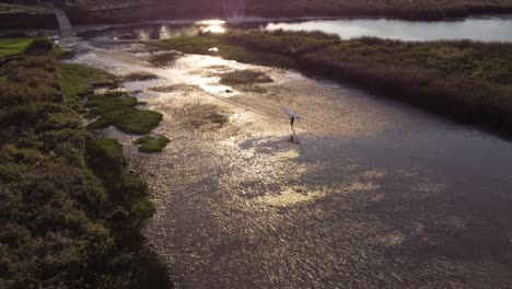 cinematic drone shot of surfer man taking surfboard over head after finishing surfing on vicente lopez river,buenos aires - beautiful sunset light reflecting in water ponds of river shore