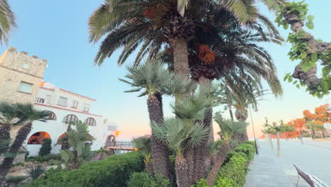 smooth upward camera movement capturing palm trees and mediterranean architecture along a coastal promenade during golden hour in roc de sant gaietà