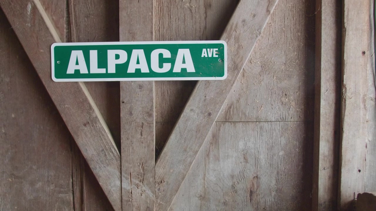 Placa de Metal 'Alpaca Ave' em Celeiro de Madeira