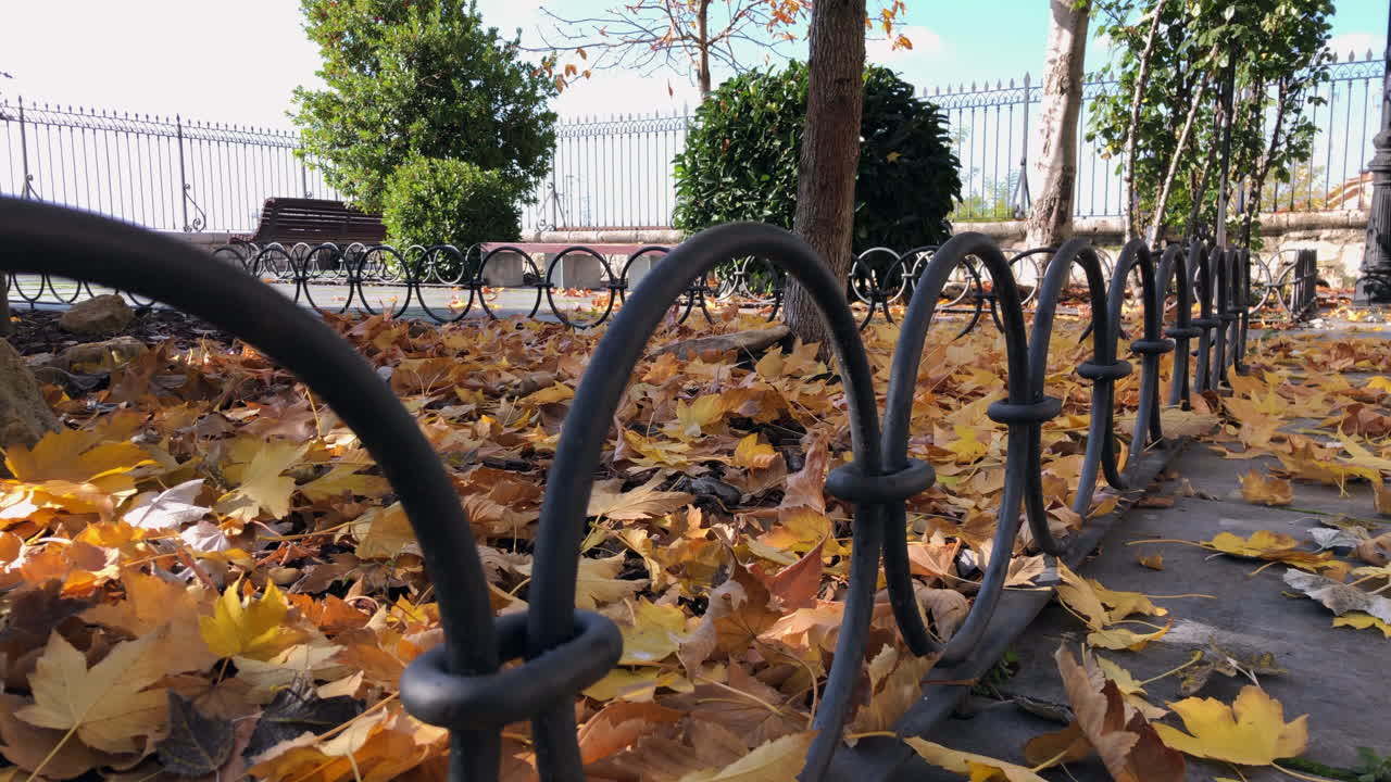 magníficos colores de otoño