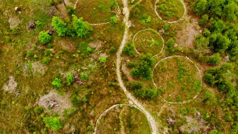 top view of stone circles in kamienne kręgi nature reserve in gmina brusy, pomeranian voivodeship, poland