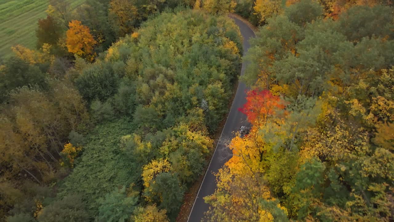 A bird's eye view of a car driving along a winding road through a colorful forest of autumn nature