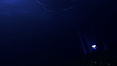 mysterious underwater scene at night