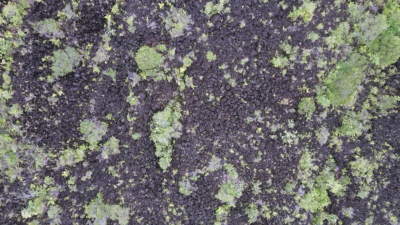 aerial mira hacia abajo en el terreno de lava áspera cerca del volcán arenal