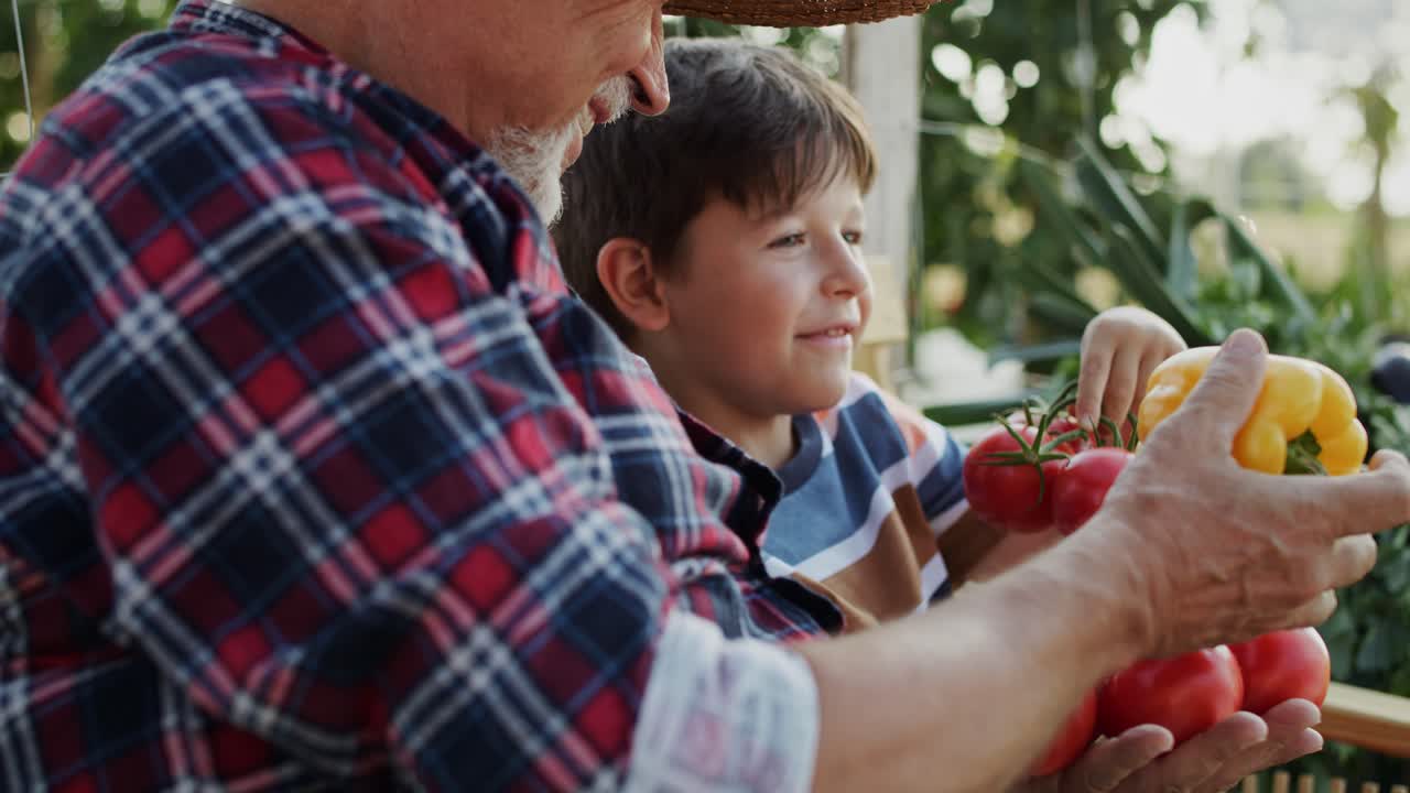 video de mano del abuelo y el nieto viendo las verduras cosechadas