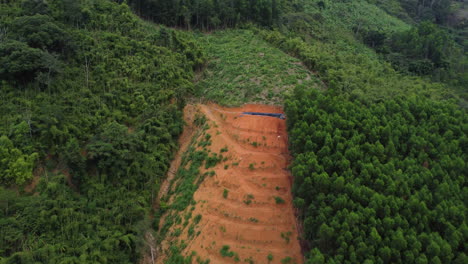 Entwaldungsprozess-Am-Vietnamesischen-Hang,-Umgeben-Von-Dichtem-Wald