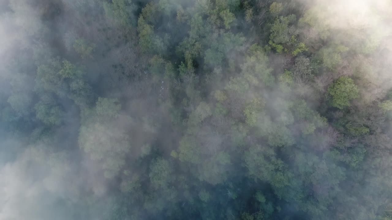 Mystisk, skyet luftfoto over en skov i Vercors, Frankrig. Solrig morgen.