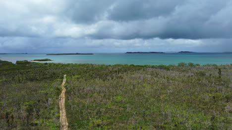 Aerial-view-of-dead-trees-and-a-dirt-road,-dark-cloudy-background,-in-new-Caledonia---rising,-drone-shot