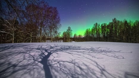 Toma-Panorámica-Sobre-Un-Prado-Nevado-Con-Un-Bosque-En-El-Fondo-A-Través-Del-Cual-Perforan-Las-Auroras-Boreales-Danzantes