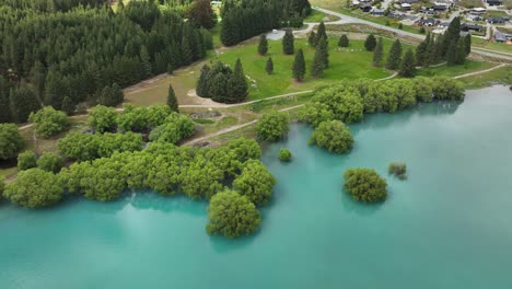 Lake-Tekapo-shore-with-submerged-trees-in-turquoise-glacial-silt-water,-New-Zealand