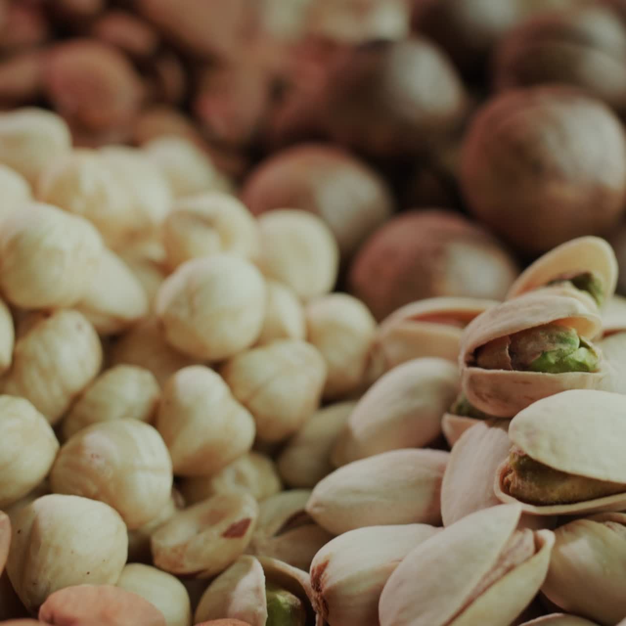 un conjunto de diferentes tipos de avellanas