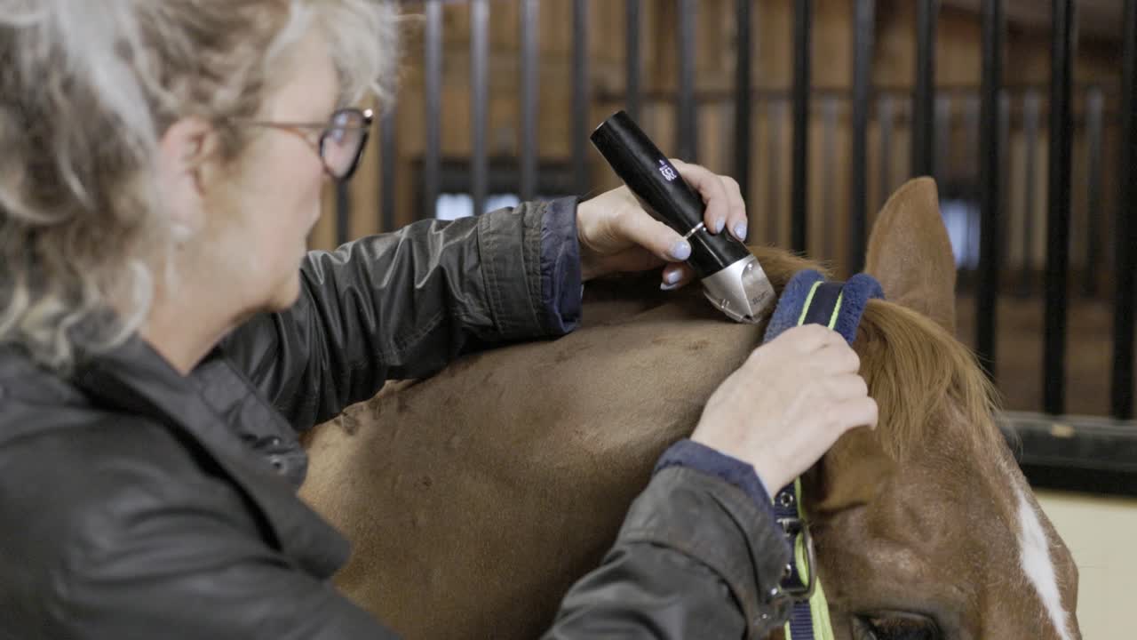 A close up shot of a Caucasian female shaving the crest of a horse&rsquo;s neck with clippers in a stable