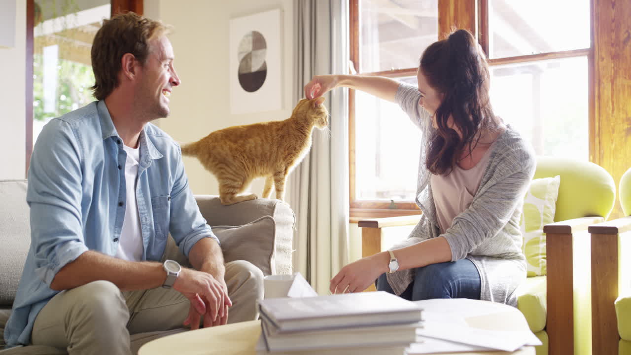 우리의 작은 털 공은 날이 갈수록 커지고 있습니다.