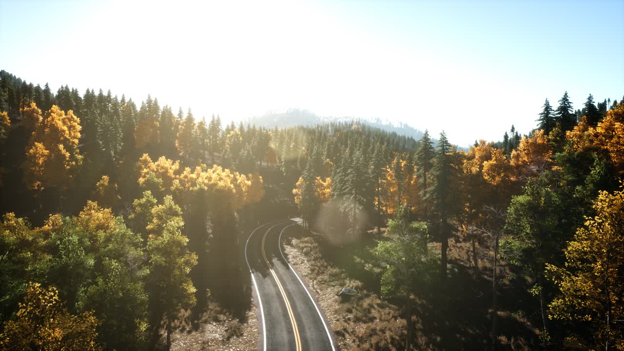 vuelo aéreo con drones sobre un bosque de pinos en la montaña al atardecer