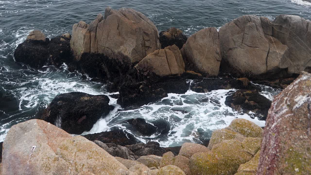 Loop di rocce tidali di Monterey