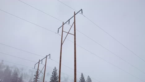 snowflakes come close to the camera lens and are clearly visible as it snows in front of large wooden power lines