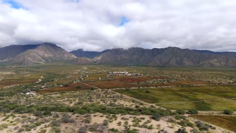 La-Belleza-Intacta-Del-Paisaje-Es-Evidente-En-Esta-Imagen,-Con-Viñedos-En-Primer-Plano-Y-Las-Impresionantes-Montañas-De-Los-Andes-Al-Fondo.