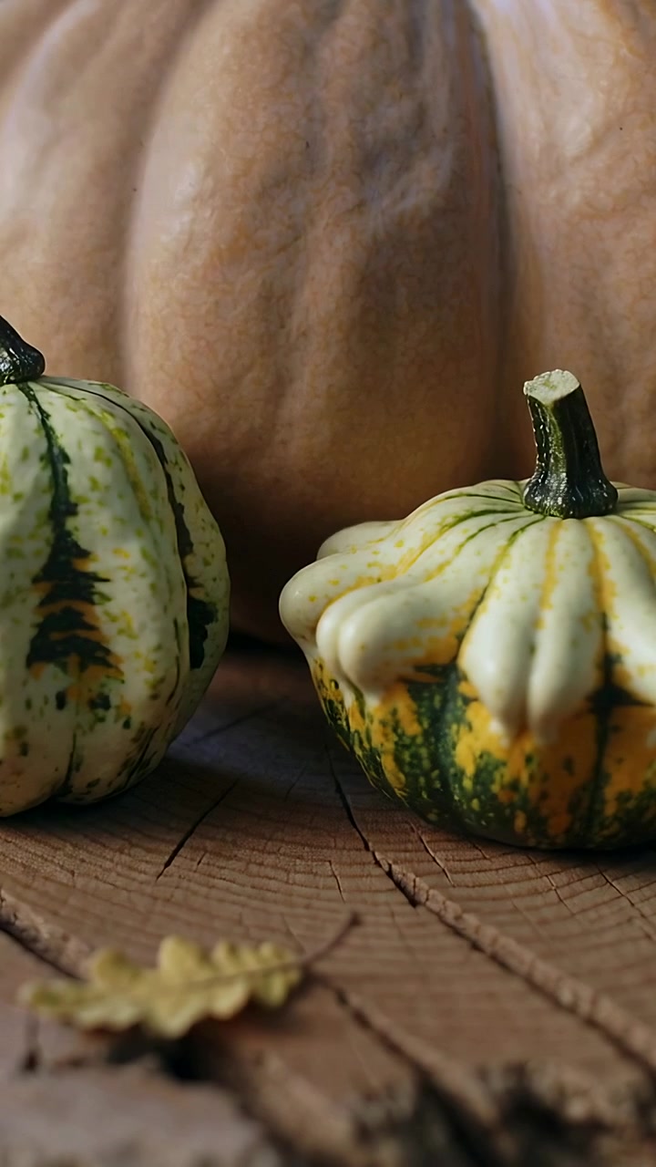 Vertical video: Breeze sending oak leaf drifting on stump, brushing gourds, settling near pumpkin