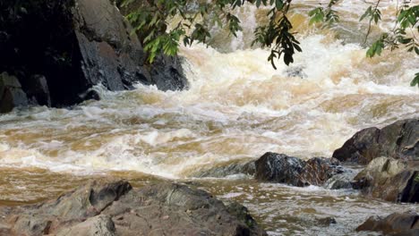 water fills an amazon tributary in brazil and flows to the river