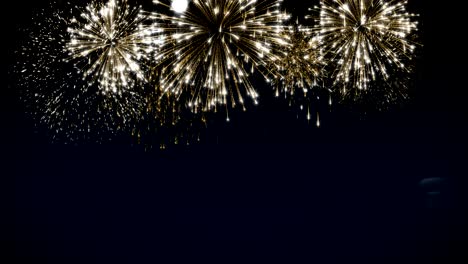 el ciclo de los fuegos artificiales animados los saludos de la temporada de tarjetas postales sociales. el concepto de celebración de vacaciones del ciclo. múltiples idiomas: inglés, alemán, francés, español, italiano, portugués. animación en ciclo para eventos festivos
