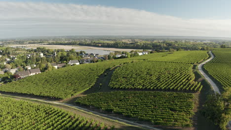 Punto-De-Vista-De-Drones-Aéreos-Del-Molino-De-Viento-Del-Siglo-XVIII-Moulin-De-La-Tranchee-Cerca-De-Montsoreau-En-El-Valle-Del-Loira,-Sitio-Del-Patrimonio-Mundial-De-La-Unesco,-Francia