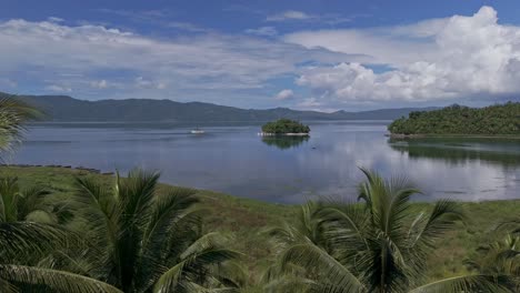 Aerial-revealing-Lake-Mainit-from-behind-palm-trees