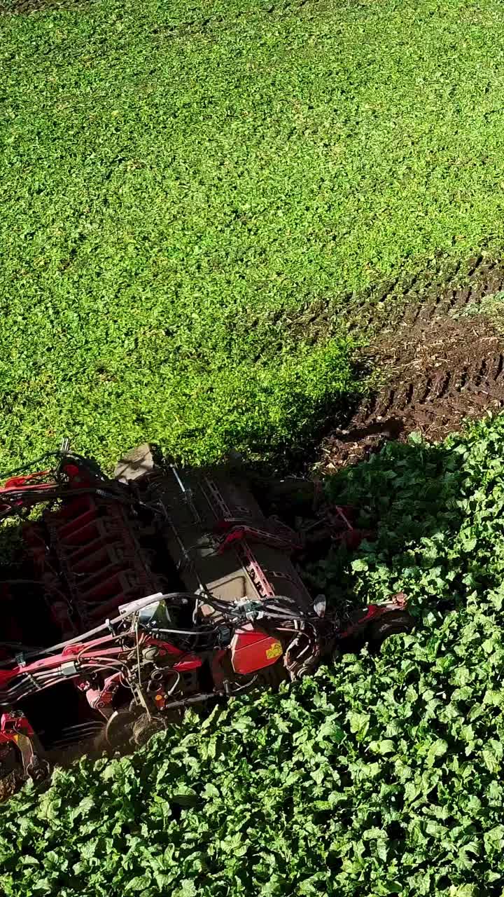 Agricultural tractor cultivating green field with rich soil and vibrant crop growth