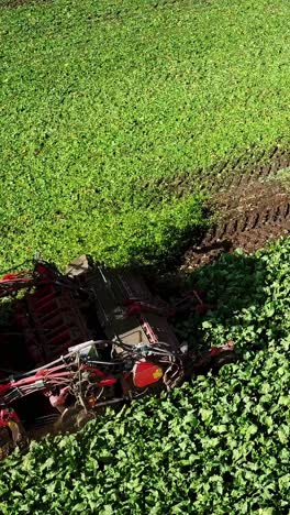 agricultural tractor cultivating green field with rich soil and vibrant crop growth