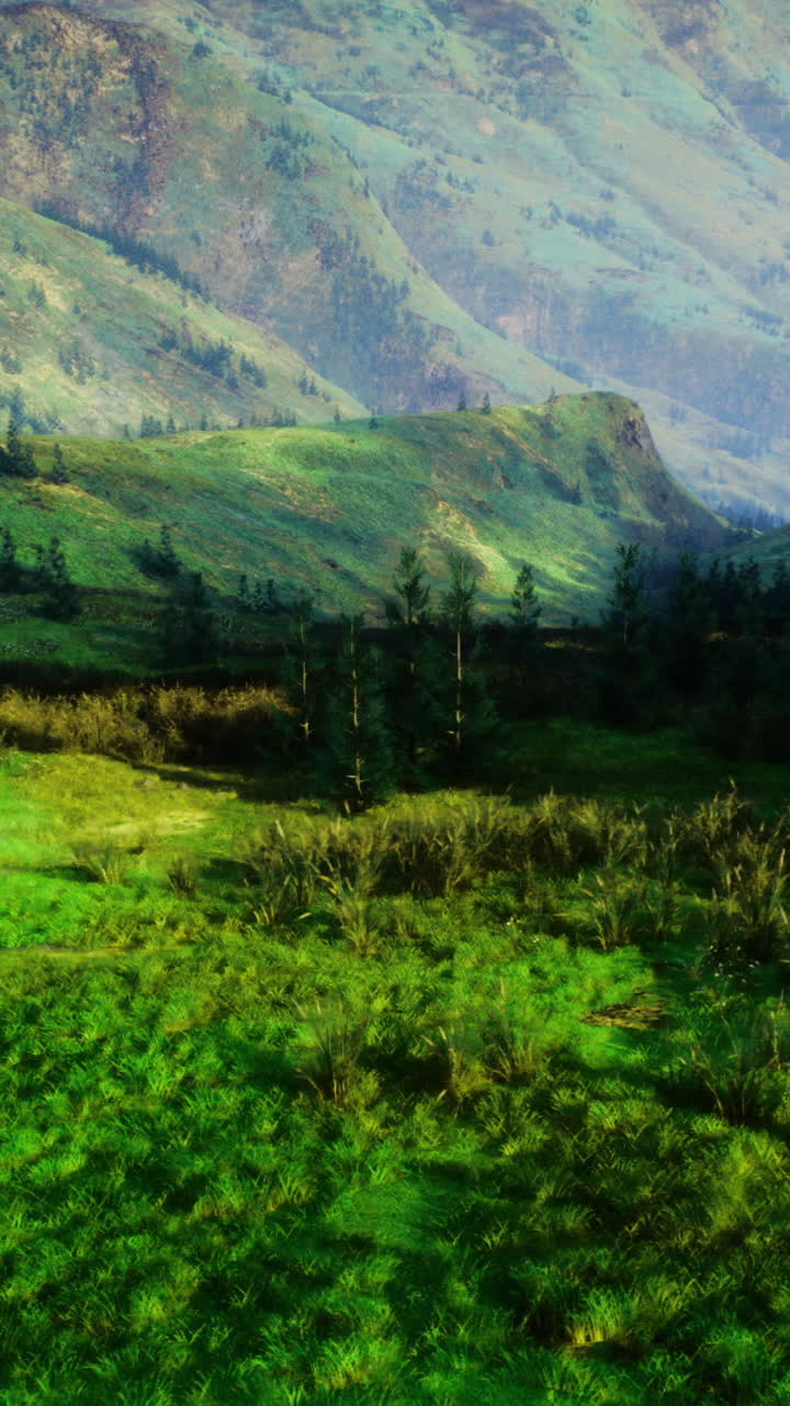 Lush green valley with rolling hills under clear blue sky in daytime