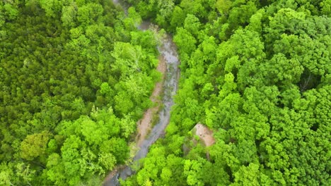 river in green, forest ecosystem in america midwest state of missouri - aerial