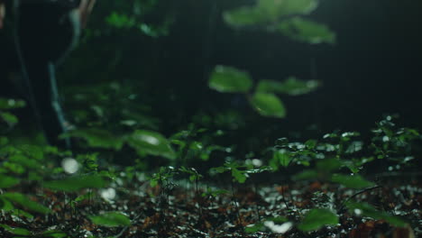 Close-up-of-woman-legs-running-through-dark-and-scary-forest-at-night---running-away-from-camera