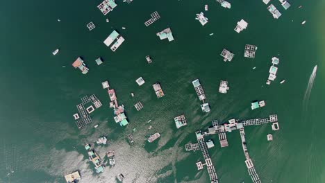large open water fish farm platforms in hong kong, aerial view