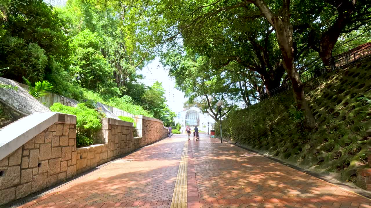 나무 로 둘러싸인 길 을 따라 고 있는 사람 들