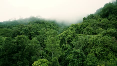 4K-Cinematic-nature-aerial-drone-footage-of-the-beautiful-mountains-and-rice-terraces-of-Ban-Pa-Pong-Piang-at-Doi-Ithanon-next-to-Chiang-Mai,-Thailand-on-a-cloudy-sunny-day