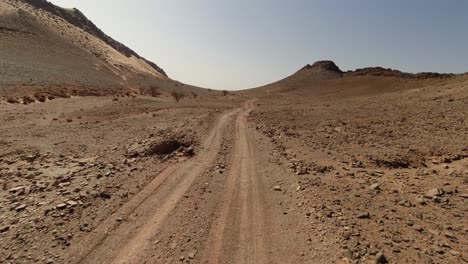 Punto-De-Vista-En-Una-Motocicleta-Que-Va-Rápido-En-Un-Sendero-Del-Desierto