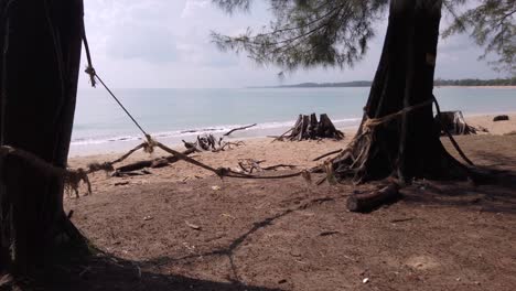Landschaftsansicht-Des-Schmutzigen-Strandes-Beim-Spaziergang-Zum-Meer-Mit-Vielen-Seekiefern,-Phuket,-Thailand-In-4K-UHD-Video