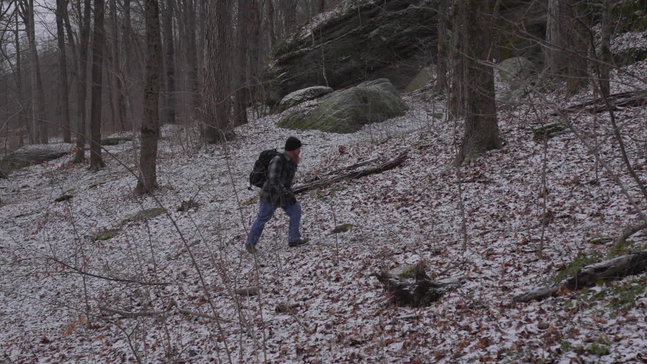 slow motion of a hiker with a beard and wearing a flannel shirt walks up a woodland hill in early winter with barren trees and a dusting of snow on the ground
