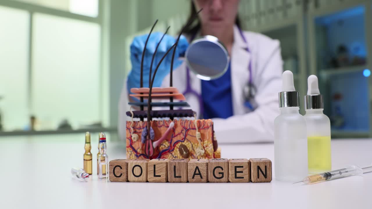 Medical professional examines skin anatomy model with collagen products
