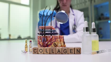 medical professional examines skin anatomy model with collagen products