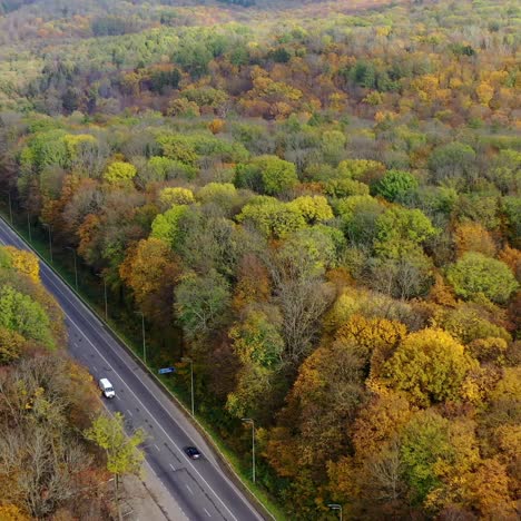 Road in colorful woodland. Autumn landscape of a beautiful forest. Straight asphalt road with cars moving on. Colorful nature of woods in fall season. Aerial view.