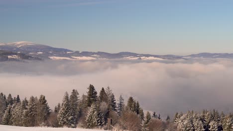 fast pan over beautiful cloud inversion and winter forest landscape