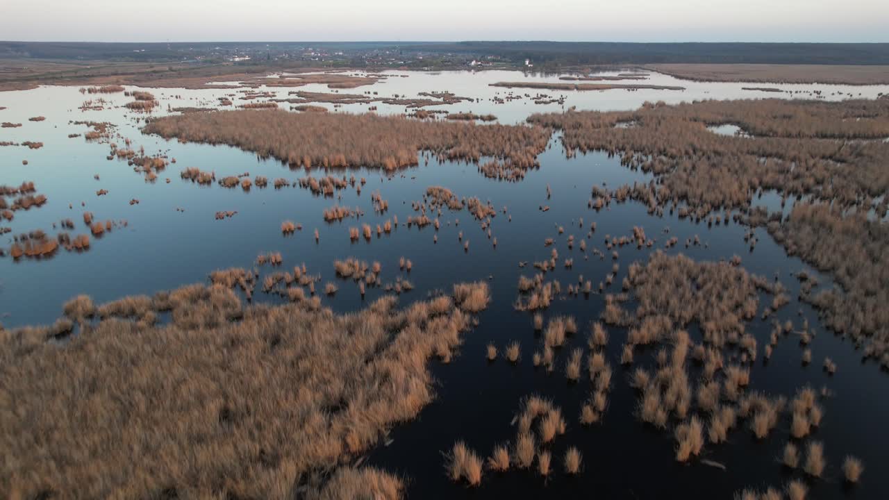 un delta sereno cerca de bucarest con manchas de cañas y agua reflectante, vista aérea